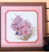 Pinn 17-M Vanda