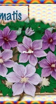 Rainbow Valley - Helen Free - Clematis
