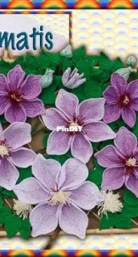 Rainbow Valley - Helen Free - Clematis