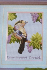 Pinn 16-D Silver - Breast Broadbill