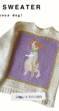 Bean Sweater - Wooland Buggers - English
