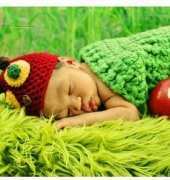 Sew Much Love - April Hudson - A Hungry Caterpillar Cocoon and Hat Set