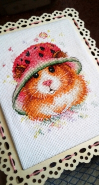 Hamster