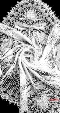 Chrysantheme - Herbert Niebling