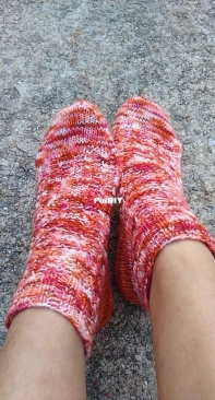 Twisted Socks by Amy Kate Sutherland