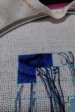 HAE QS Butterfly 2