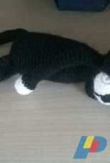Mini Cat