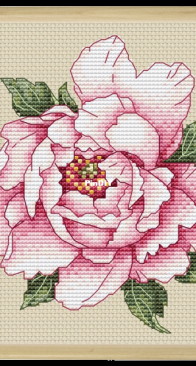 Peony in gongbi style by Alena Mera XSD