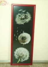 Flower Balls