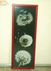 Flower Balls