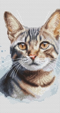 Banani Stitchery - Watercolor Tabby Cat by Anna Banani