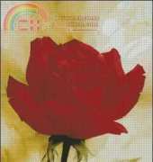 I Love CrossStitch ILCS IL-015 - Red Rose xsd
