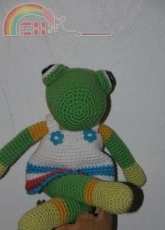Une grenouille rigolotte