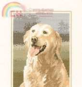 Heritage Stitchcraft JSGR419 Animal Portraits - Golden Retriever by John Stubbs