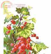 Riolis 217  Red Currants