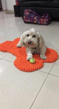 carpet for puppies in"Trapillo"