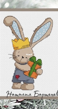 Bunny With A Gift by Natalia Barteneva