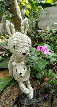 Lui Kangaroo