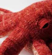 Opus the Octopus by Cate Carter-Evans - Free