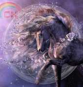 HAED HAELAPMINI 264 Mini Chimera Black Rose by Laura Prindle