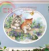 Dimensions 332 Playful Kittens