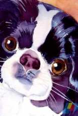HAED HAEJOL 1971 Japanese Chin by Jo Lynch