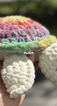 Tie Dye Turtle