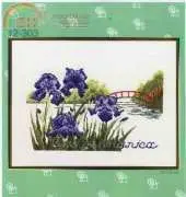 Eva Rosenstand 12-303 - Iris germanica