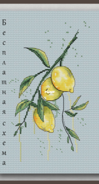 Lemons by Nadezhda Mashtakova