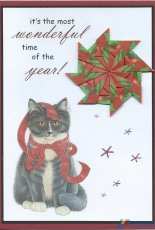 Franciens Christmas Cat and old Lipton Rosehip 1