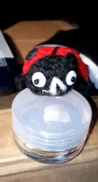 Little lady bug (keychain)