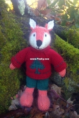 Fox boy