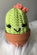 tiny cactus