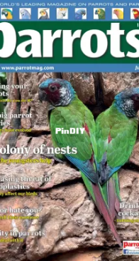 Parrots Magazine – Issue 330 -  July 2025