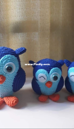 Family owl