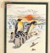 Eva Rosenstand 12-803 Penguins