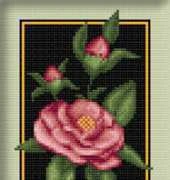 Solaria Gallery Rose of Alhambra, Gardenia for Valentine , Red Peonies, Red rose