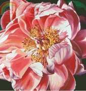 I Love CrossStitch JH-015 Spring Peony