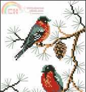 Riolis 430 Robins