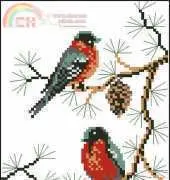 Riolis 430 Robins
