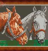 Megat 428 Horses