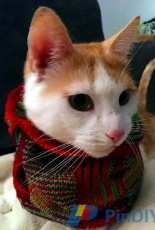 Bikers Springcowl by Toby Blöcker -Eng,German-Free