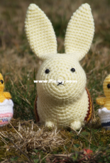 Bunny with chicks
