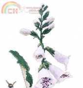 Silver Lining - SL 048 White Foxgloves