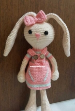 rabbit with long ears.