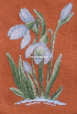 Snowdrops -- Maria Brovko