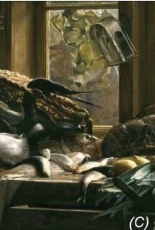 Golden Kite 2225 Surprise