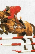 Thea Gouverneur 1003 - Show Jumping