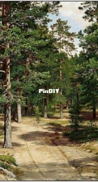 EstE 304 Sestroretsky Forest XSD