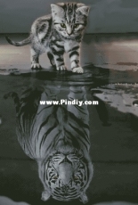 Chimera -I am a tiger